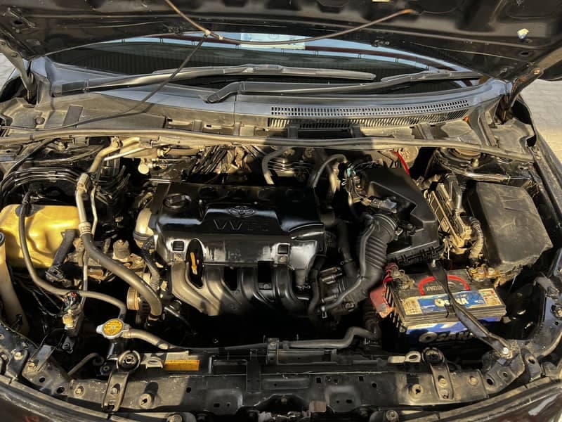 Car main