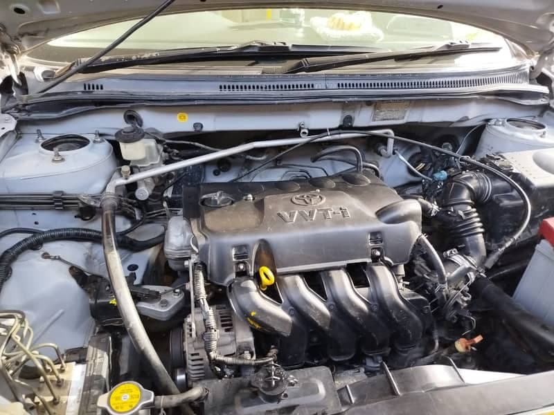 Car main