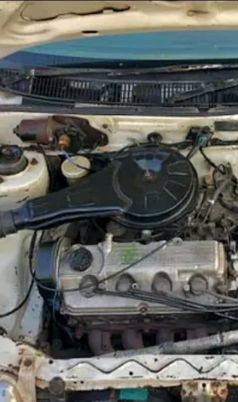 Gallery main