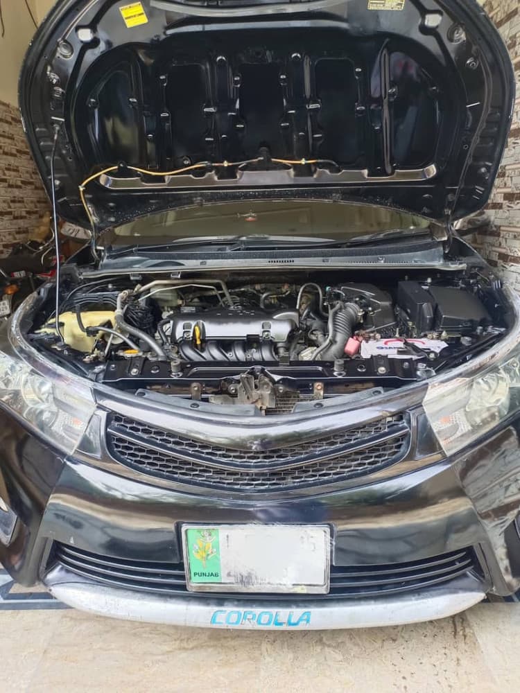 Gallery main