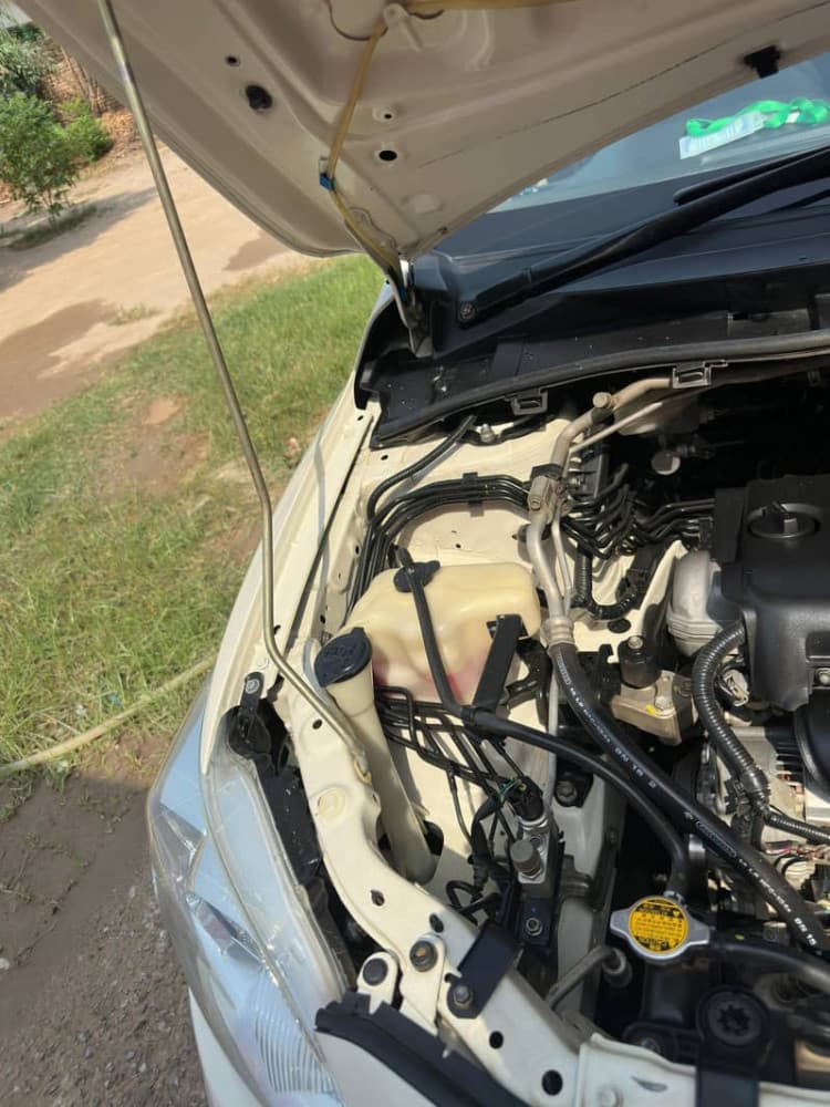 Car main
