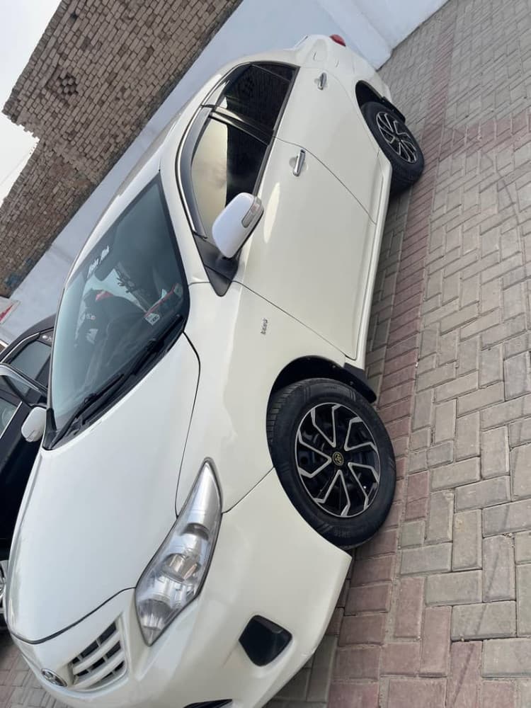 Gallery main