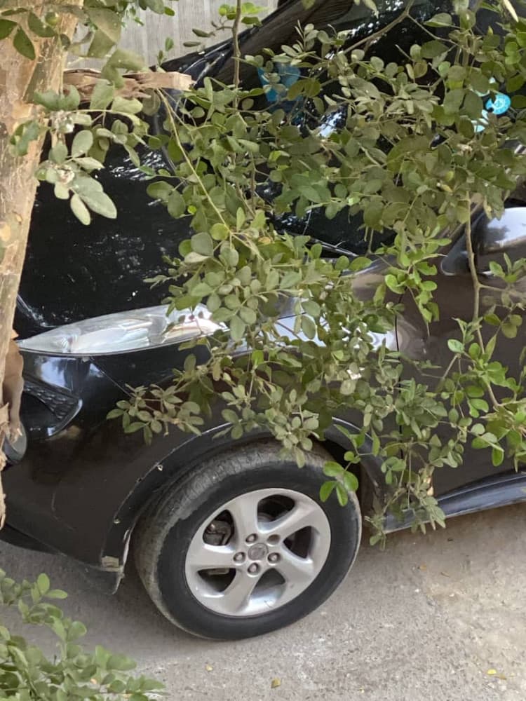Car main