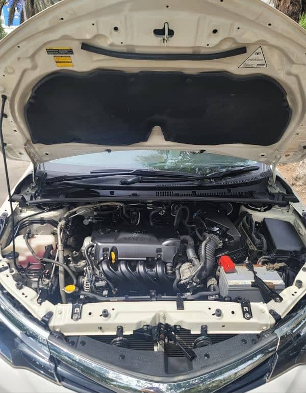 Car main
