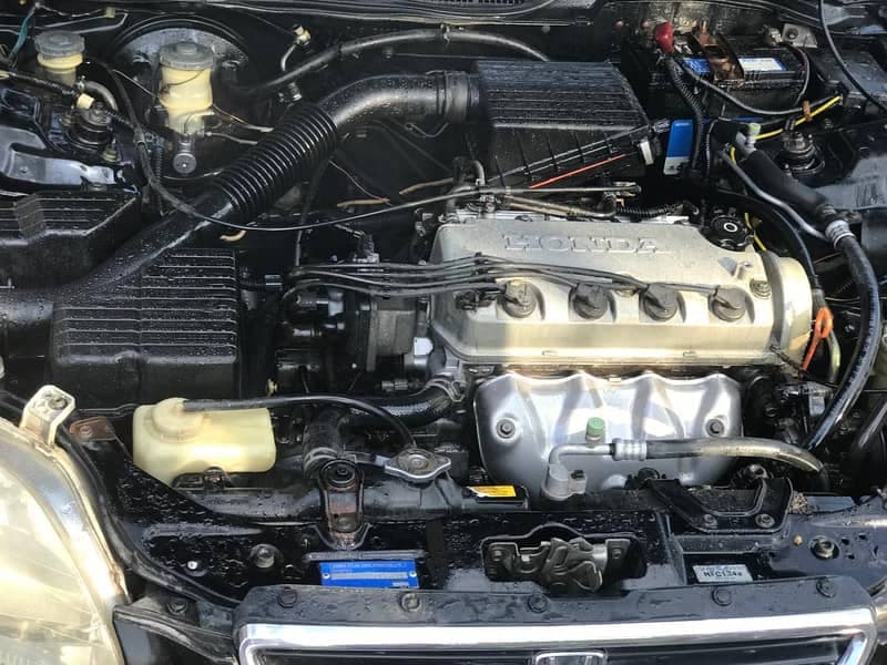 Gallery main