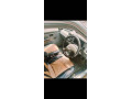 suzuki-mehran-vxr-2015-small-0