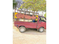 suzuki-ravi-1984-small-1
