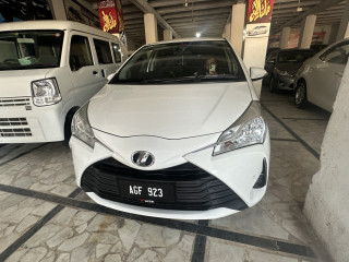 2018-vitz