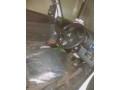 mitsubishi-everybox-small-3