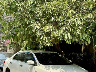 toyota-corolla-xli-2011