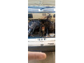 suzuki-mehran-vxr-2004-small-3