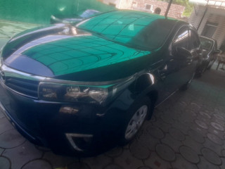 2014-gli-13