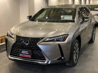 lexus-ux300e-2021-l
