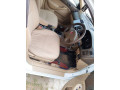 honda-civic-exi-2005-small-16