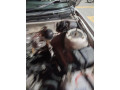 suzuki-baleno-2005-small-18