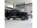 chery-tiggo-8-pro-2022-roland-purple-small-4
