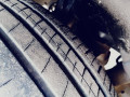 hyundai-santro-club-2004-total-orignal-car-small-5
