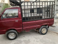 suzuki-ravi-2017-model-small-2