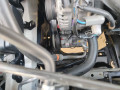 corrola-gli-small-7