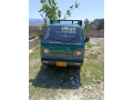 suzuki-ravi-1987-small-1