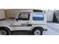 suzuki-potohar-1999-small-2