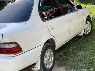 corolla-xe