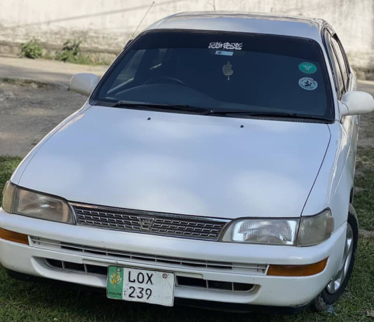 corolla-xe-big-3