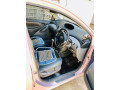 toyota-vitz-2001-06-1300cc-convert-small-13