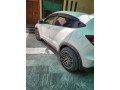 2014-and-2017-import-small-3