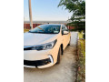 gli-2017-small-4