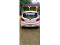 prince-pearl-2022-small-6