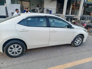 gli-automatic-2019-model