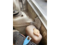 suzuki-mehran-vx-2007-small-9