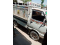suzuki-ravi-2008-small-8