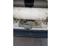 suzuki-mehran-vx-1998-small-10