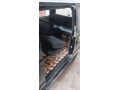 suzuki-bolan-2012-small-9