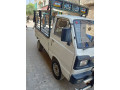 suzuki-ravi-2013-small-11