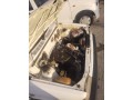 suzuki-mehran-vx-2004-small-9