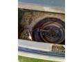 coure-automatic-in-perfect-condition-small-14