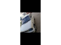 suzuki-mehran-vx-2007-small-3
