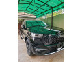 haval-h6-hev-2025-unregistered-small-2