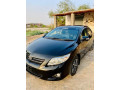 gli-2009-model-small-3