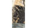 daihatsu-terios-4wd-small-3