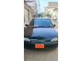 civic-dolphin-small-0