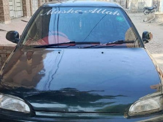 civic-dolphin