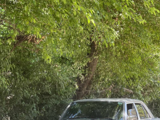 mercedes-benz-w123