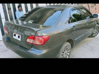 selling-my-gli-20078