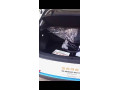 seres-3-2025-electric-full-options-small-6