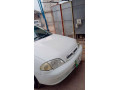 caltus-small-3