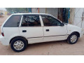 caltus-small-8